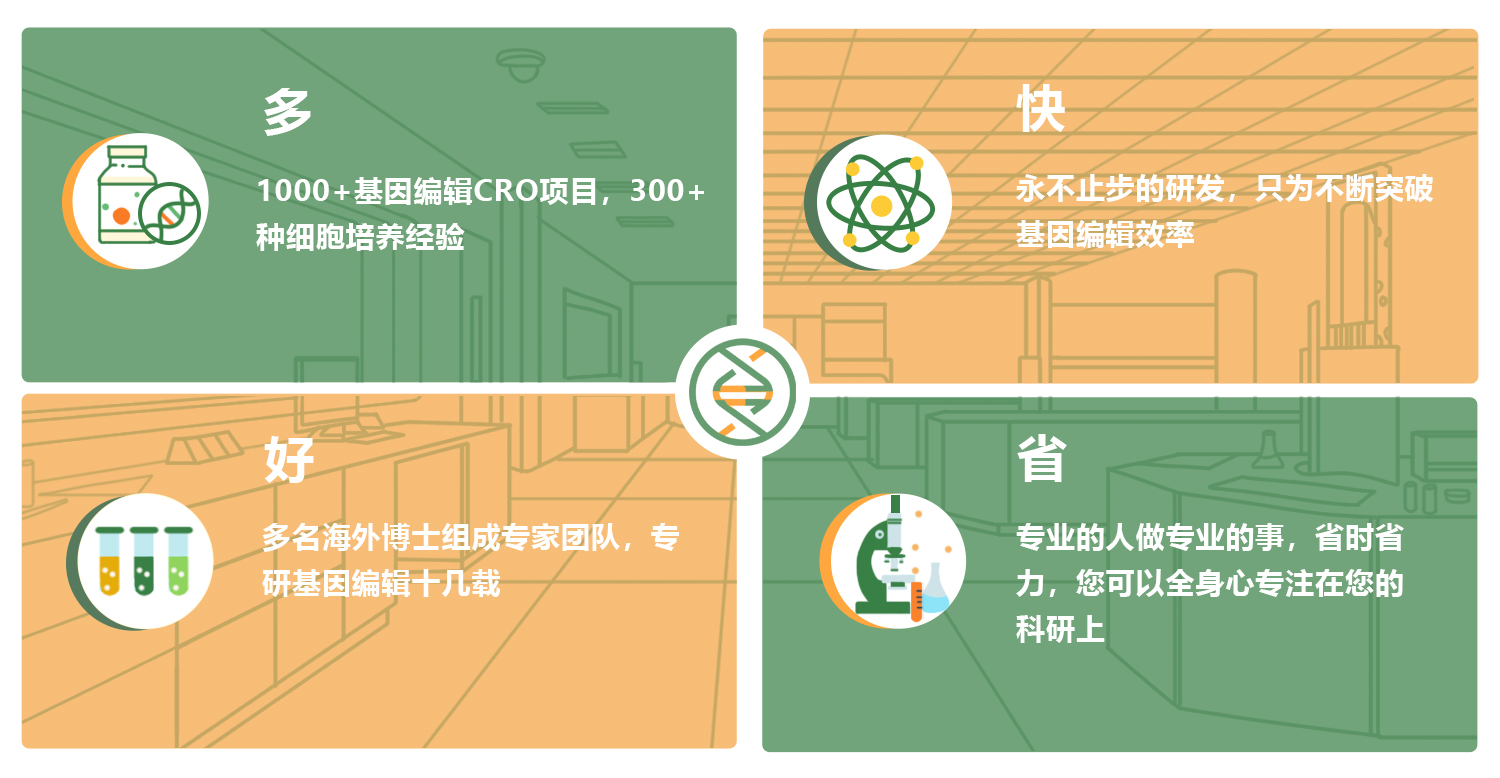 为什么选择尊龙凯时基因的crispr文库筛选