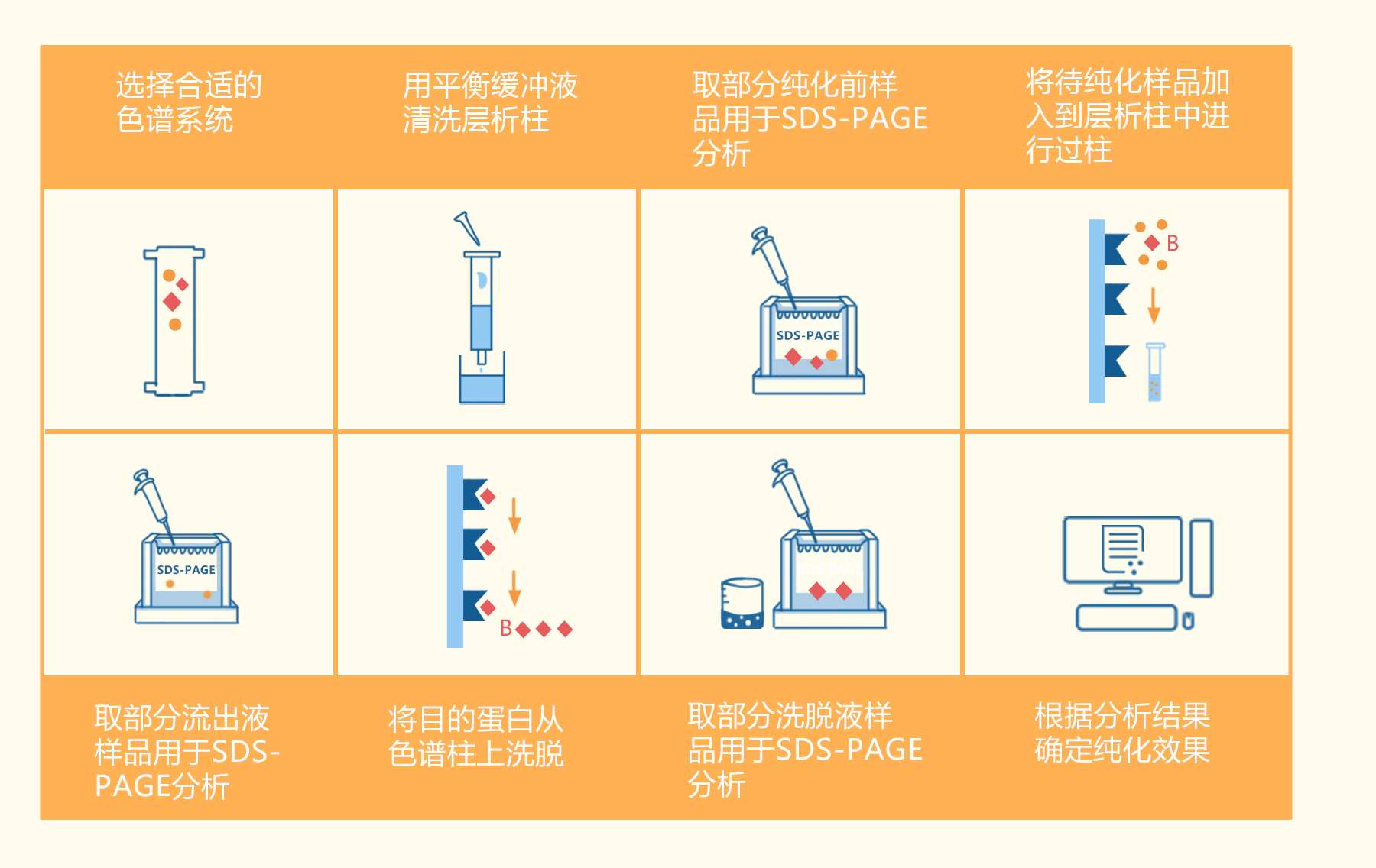 一步法卵白质纯化流程